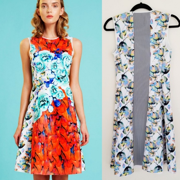 Clover Canyon Dresses & Skirts - Clover Canyon Feathers and Roses Fit Flare Dress